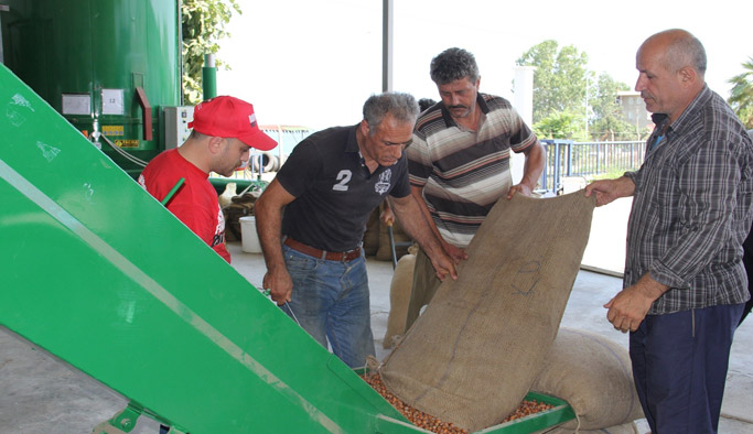 Havanın kötü olması fındık kurutma makinesine ilgiyi arttırdı