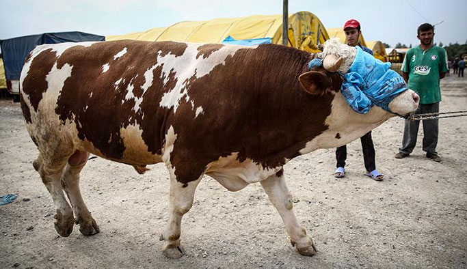Bakan’dan kurban satıcılarına müjde