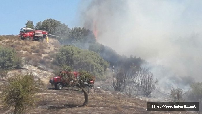 Reklam tabelası çalışması faciaya neden oldu