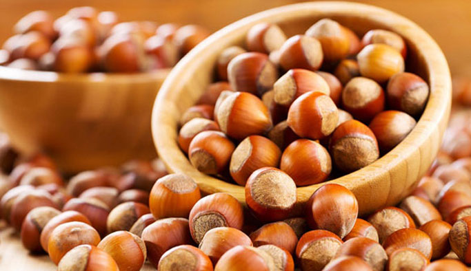 Türkiye'nin ilk fındık borsası açılıyor