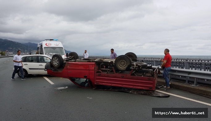 Trafik kazası kurbanlık hayvana yaradı