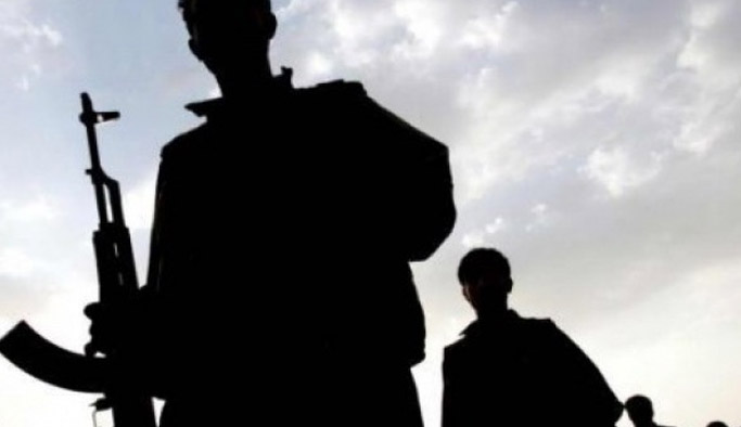 İçişleri Bakanlığı: Kars ve Hakkari’de 9 terörist etkisiz hale getirildi