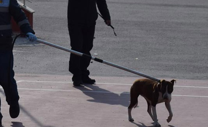 Öğrenciler hayatlarının şokunu yaşadı!