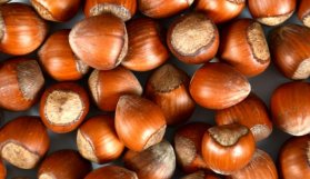 Fındık fiyatları ne kadar? - işte son durum