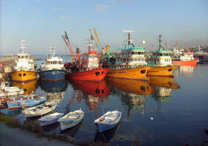 Gürcüler yine teknelere el koydu