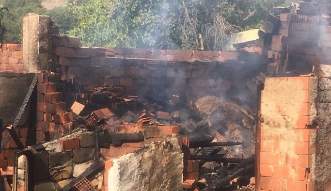 Onlarca hayvan alevler arasında telef oldu