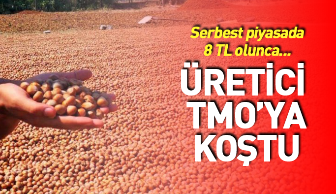 Üreticiler fındığını satmak için TMO’yu tercih ediyor