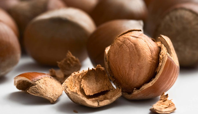 "Fındık Tütünün akıbetini yaşamaya doğru ilerliyor"