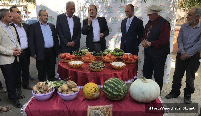 Bayburt'ta hasat zamanı