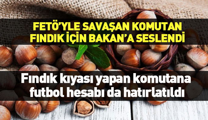 Ahmet Zeki Üçok'tan fındık fiyatı tweeti