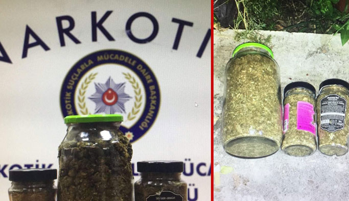 Trabzon'un yeni belası: Bonzai'den sonra...