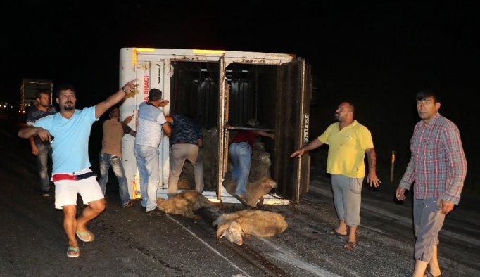 Kamyonda can pazarı yaşandı