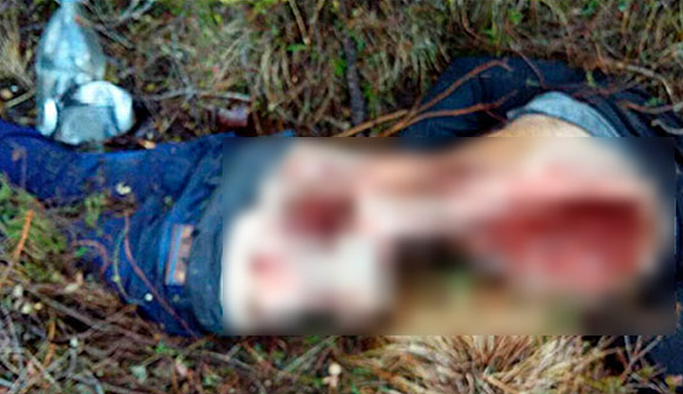 Ayı dehşet saçtı! Ceset bu halde bulundu