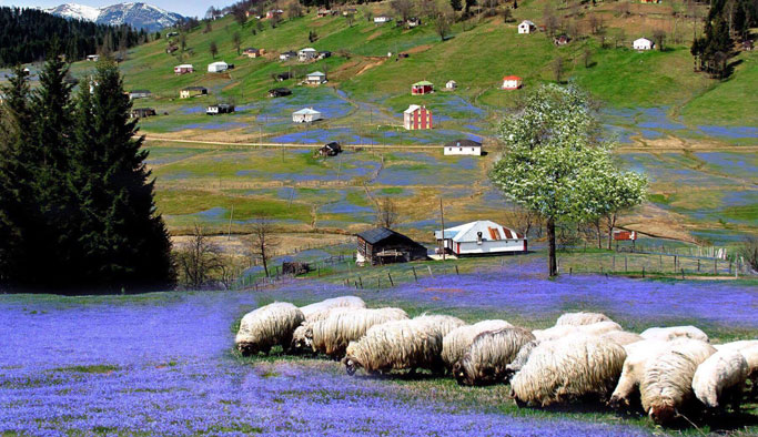 Yaylalarda yıkılacak yapılar için harekete geçildi