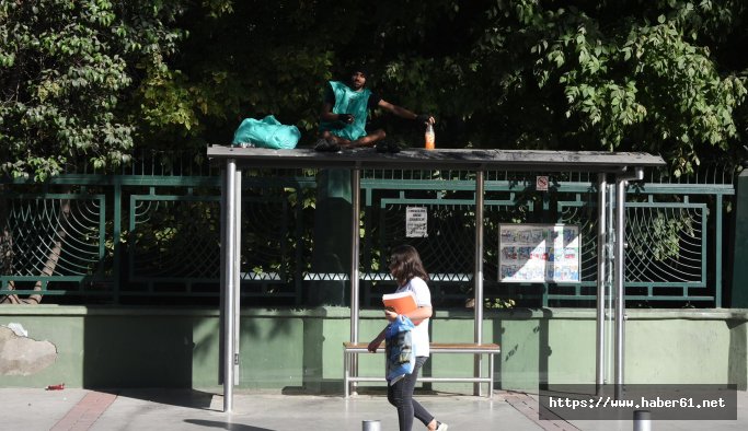 'Durak Tarzanı' kışlık yerine döndü