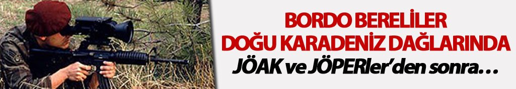 Bordo Bereliler Doğu Karadeniz dağlarında