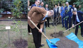 Trabzon'da iki bakan fidan dikti