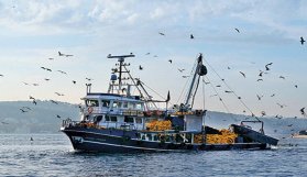Trabzon'da sezonun en kısır avı