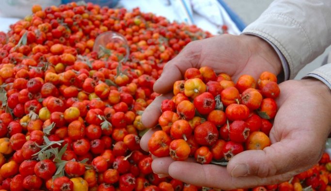 Kalp ve damar dostu alıç tezgahlarda