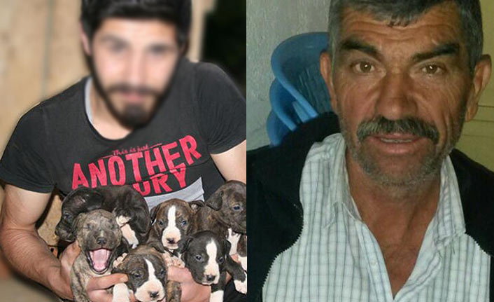 Arazi tartışması kanlı bitti!