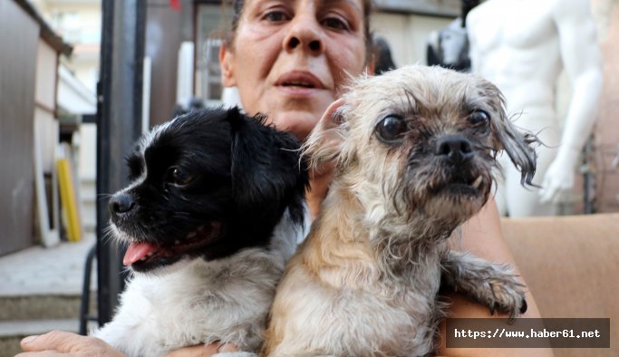 Yanmaktan son anda kurtarıldılar