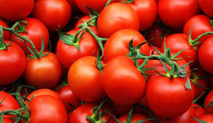 Rusya'ya domates yasağı kalkıyor mu? Bakan açıkladı