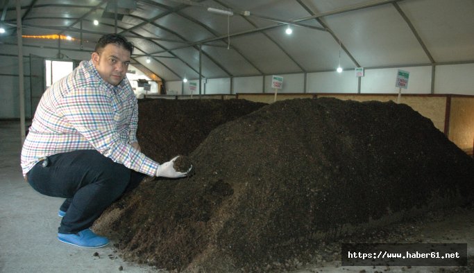 Siyah altın işine girdi, köşeyi döndü