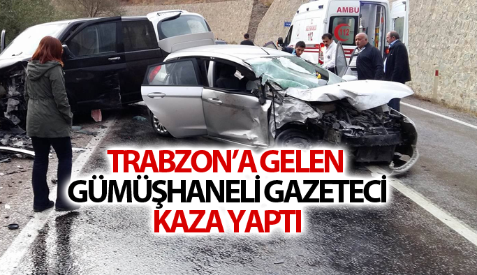 Trabzon'a gelen Gümüşhaneli gazeteci kaza yaptı