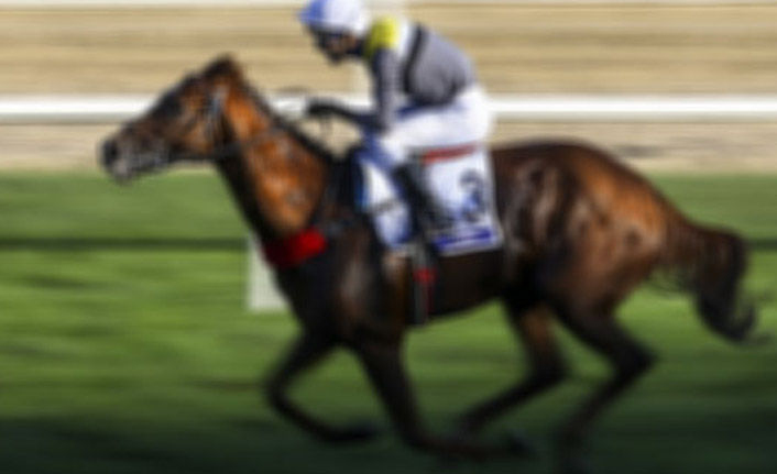 Ünlü Jokeye 20 yıl hapis!