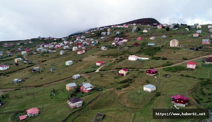 Trabzon yaylalarındaki yıkımlar Sis Dağı'na ulaştı