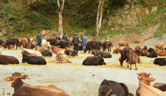 Trabzon dahil 4 ile 10 Milyonluk destek
