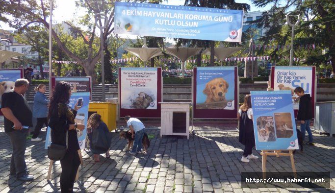 Trabzon'da sokak hayvanları için anlamlı etkinlik