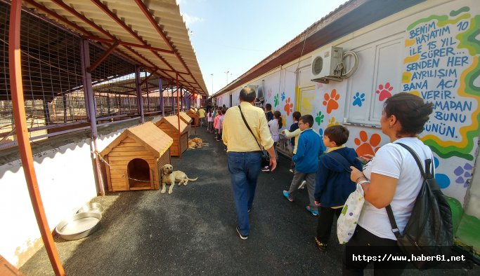 Hayvan koruma gününde barınaklar ziyaretçi akınına uğradı