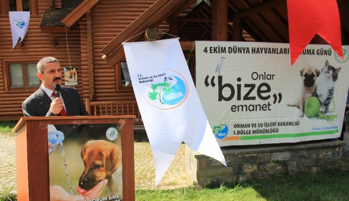 Hayatlarında ilk kez sülün görünce...