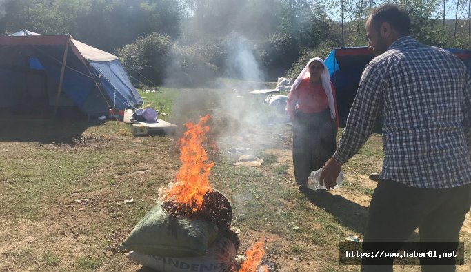 Üreticinin tepkisi dinmiyor: Fındığı ateşe verdiler!