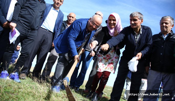 Giresun'da fıkra gibi festival.... 'Ya tutarsa' deyip tuz ektiler