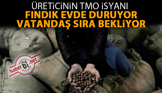 Fındık için TMO'da sıra çilesi