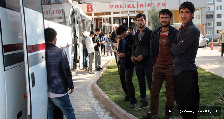 Şener Şen'in Banker bilo filmi gerçek oldu