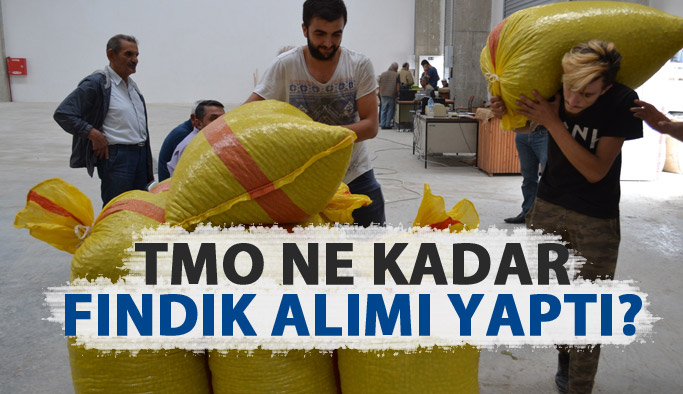 TMO ne kadarlık fındık alımı yaptı?