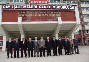 Fındığı çayla birlikte tüketin