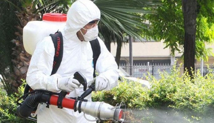 Soğuk havalarda evlerdeki davetsiz misafirlere dikkat