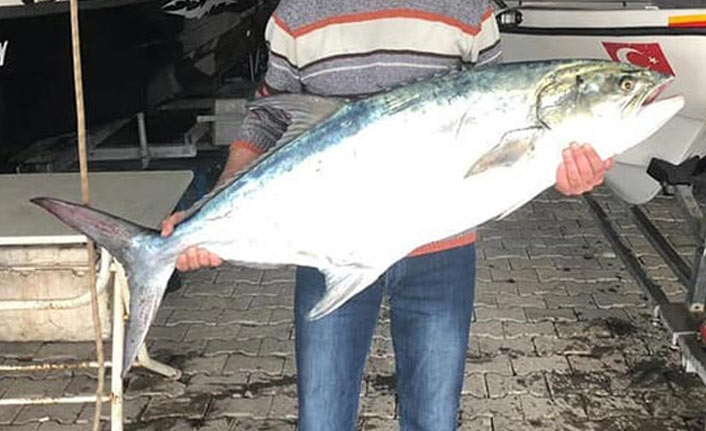 Yakaladığı balığı görünce gözlerine inanamadı!
