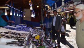 Trabzon'da hamsi ve palamut yüzleri güldürdü