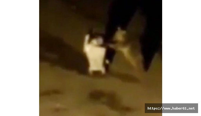 Yavru ayı çöp konteynerini kaçırdı