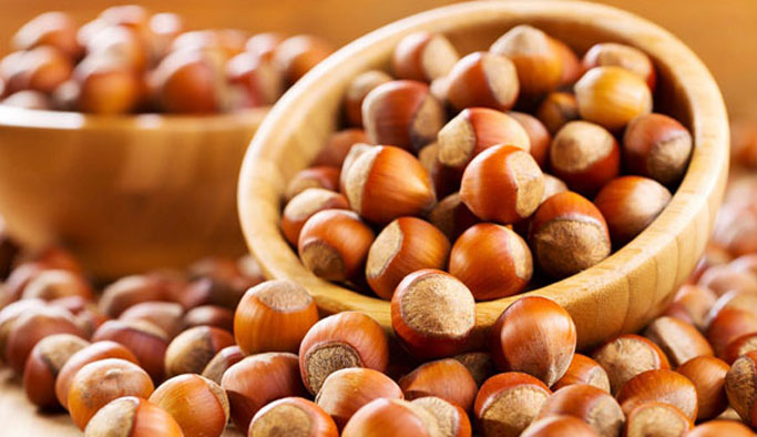 "Fındıkta gerçek kazanım verim ve kaliteden geçiyor"