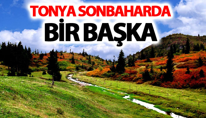 Tonya Sonbaharda bir başka