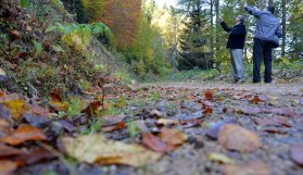 Giresun yaylaları sonbahar renkleriyle cezbediyor