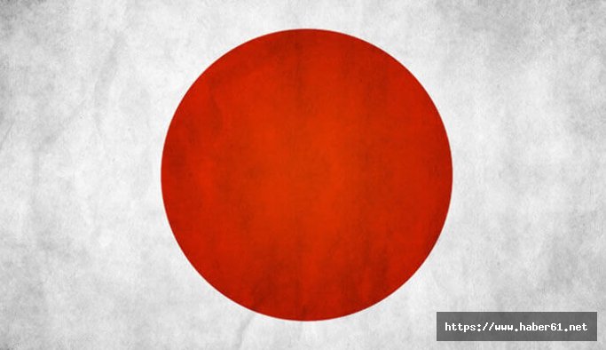 Japonya'da Liberal Demokratlar kazandı