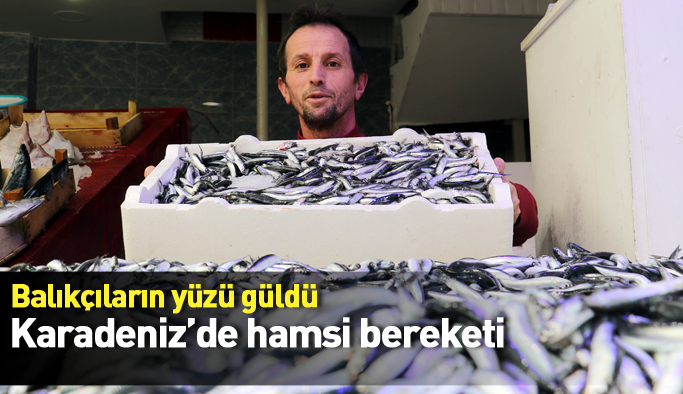 Karadeniz'de hamsi bolluğu yaşanıyor