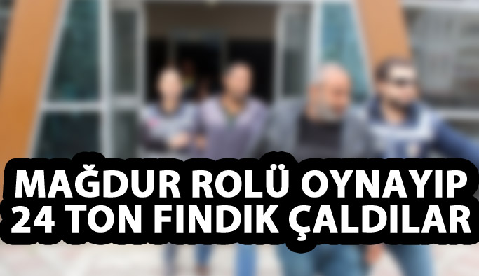 Mağdur rolü oynayıp 24 ton fındık çaldılar